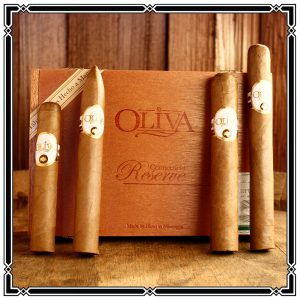 Oliva #4 (4PK)
